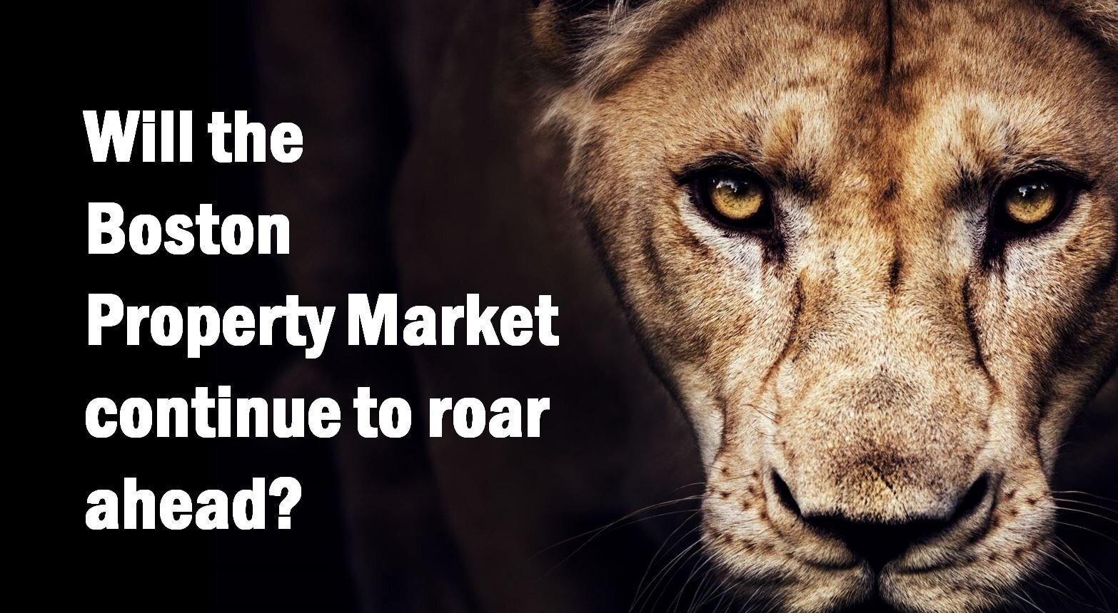 Will the Boston Property Market Continue to Boom?